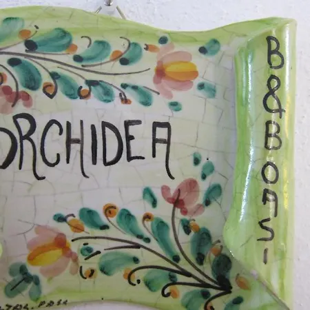 Oasi 마리나 디 팔마